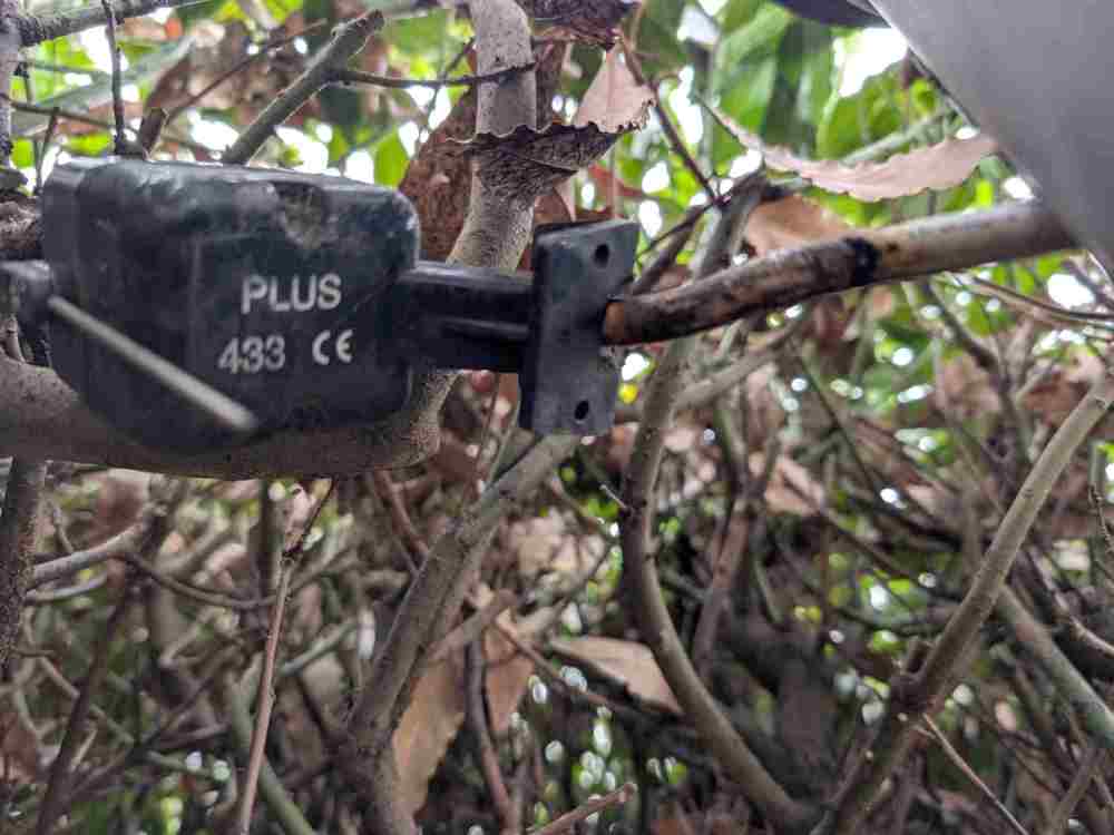 WhatsApp Image 2025-11-07 at 15.49.53.jpeg