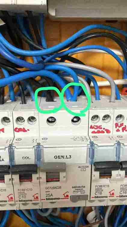 WhatsApp Image 2025-11-07 at 16.02.10.jpeg