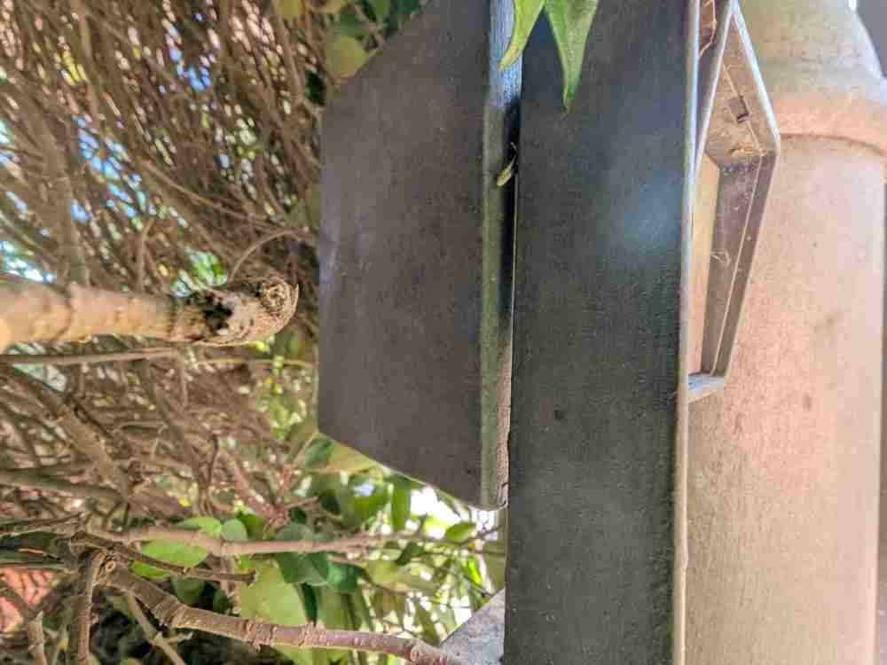 WhatsApp Image 2025-11-10 at 18.46.01.jpeg