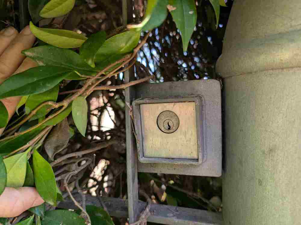 WhatsApp Image 2025-11-10 at 18.46.02.jpeg