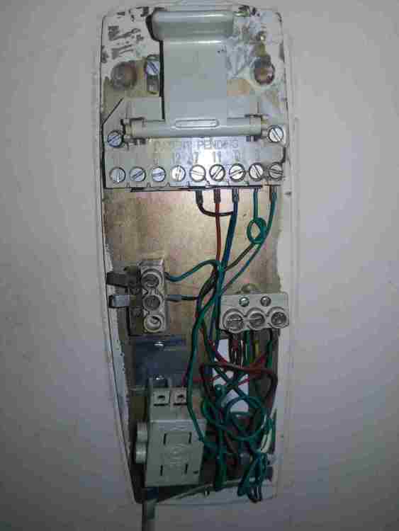 WhatsApp Image 2025-11-10 at 16.54.26.jpeg