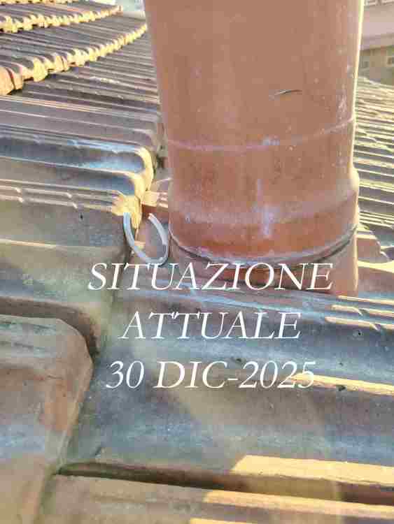 4-IMG_20251230_161922 -WEB-Terminale Canna fumaria.jpg