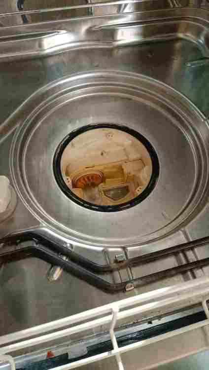 photo_2026-01-08 11.11.17.jpeg