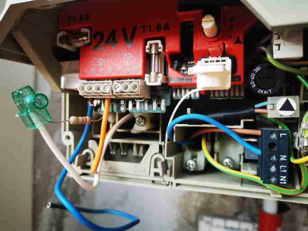 WhatsApp Image 2026-03-09 at 09.31.05.jpeg