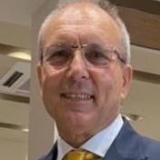 Stefano Dalmo